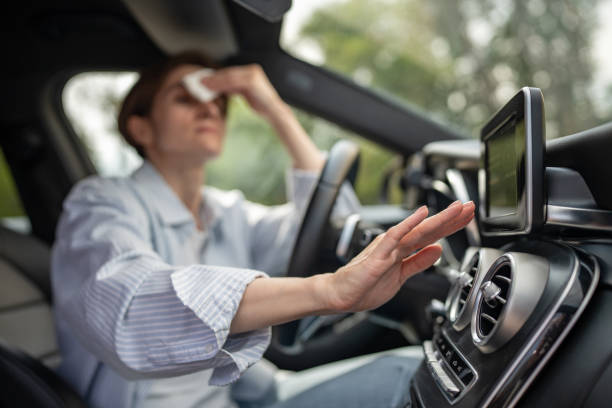 Best Thermostats and Smart Controls in Goose Creek, SC